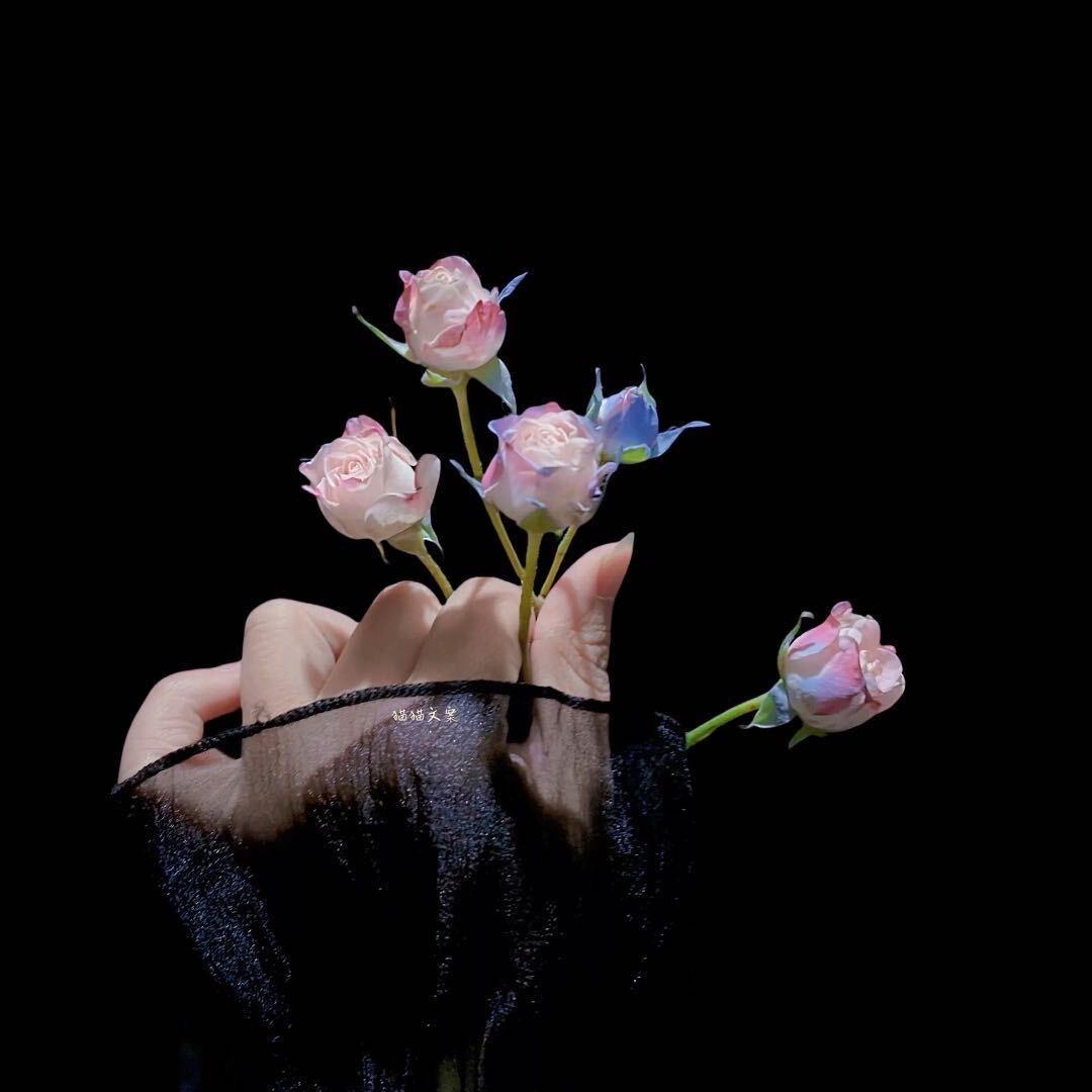 ☆♔Lෆ u.☆吖头