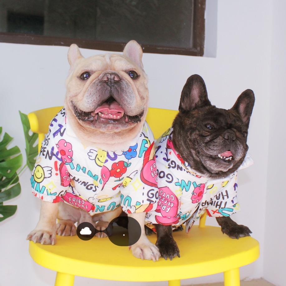 Tigerdog宠物用品旗舰店