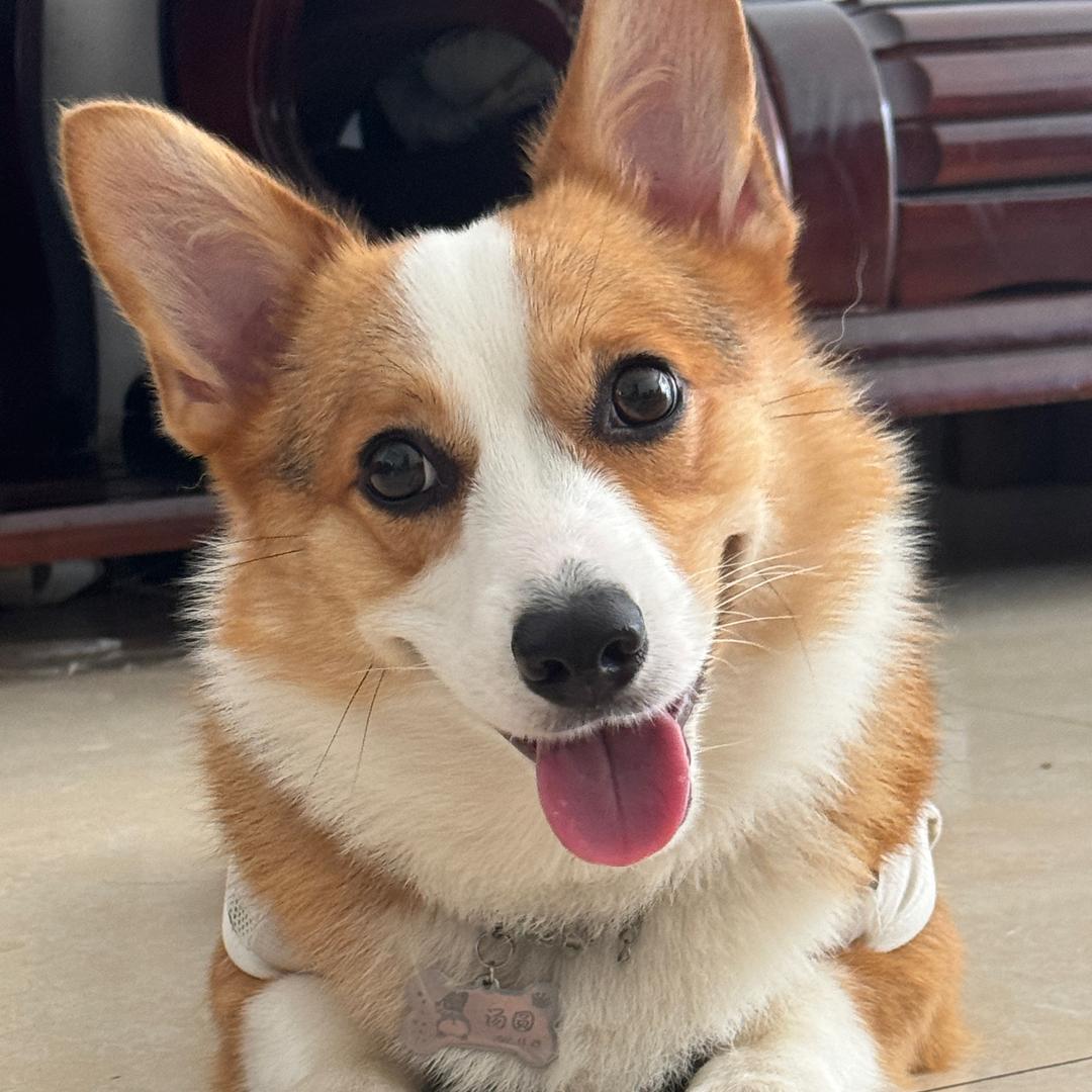 汤圆好圆