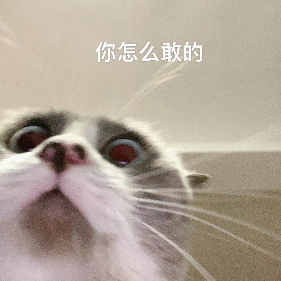 淘一淘手办寄拍行