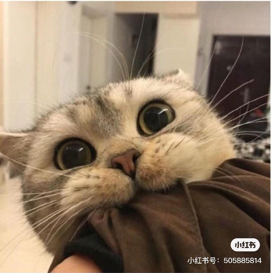 ♪雨的印记♬