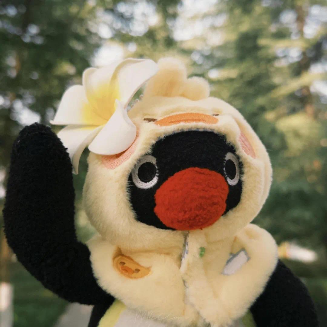 干炒牛何女士