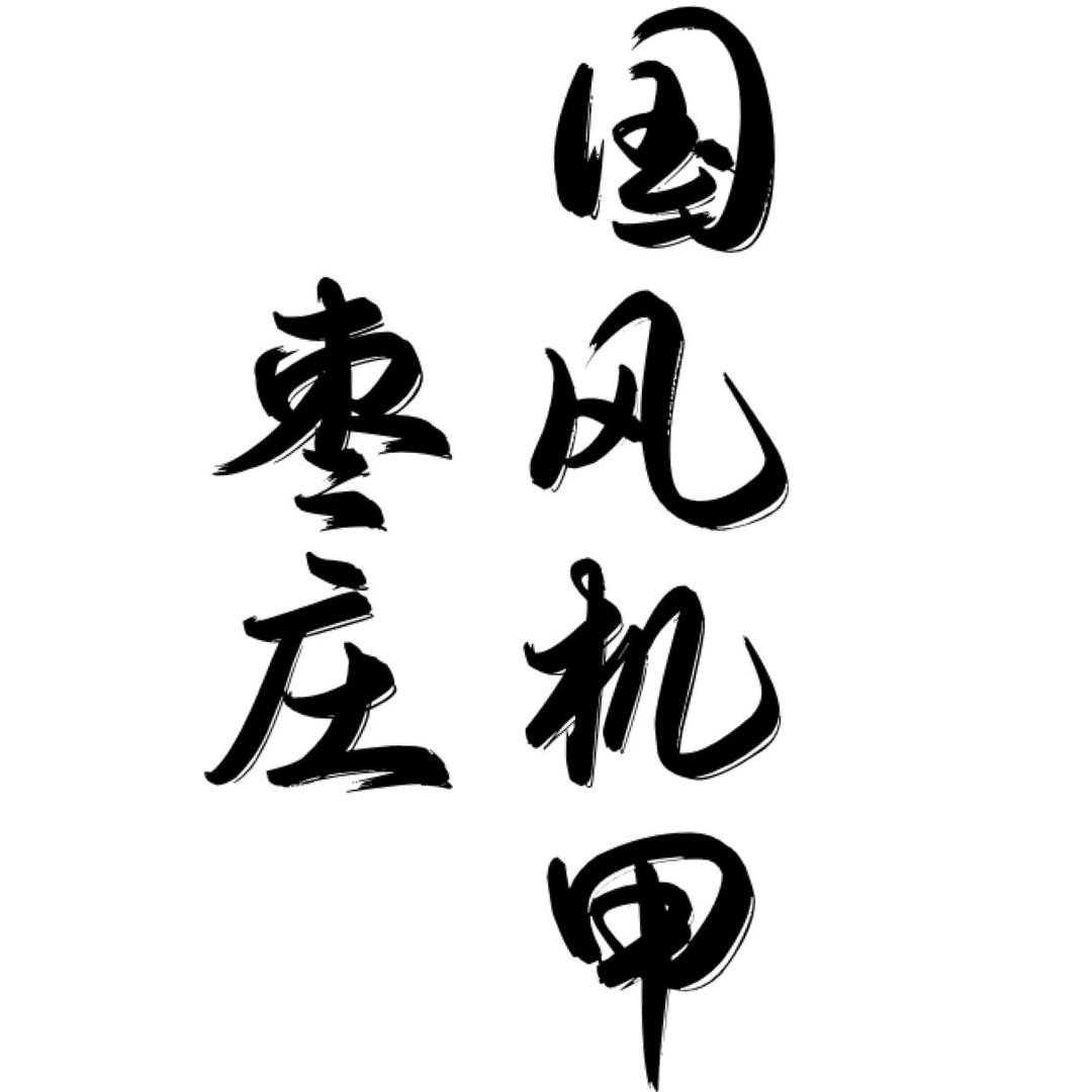 国风机甲（枣庄团队）