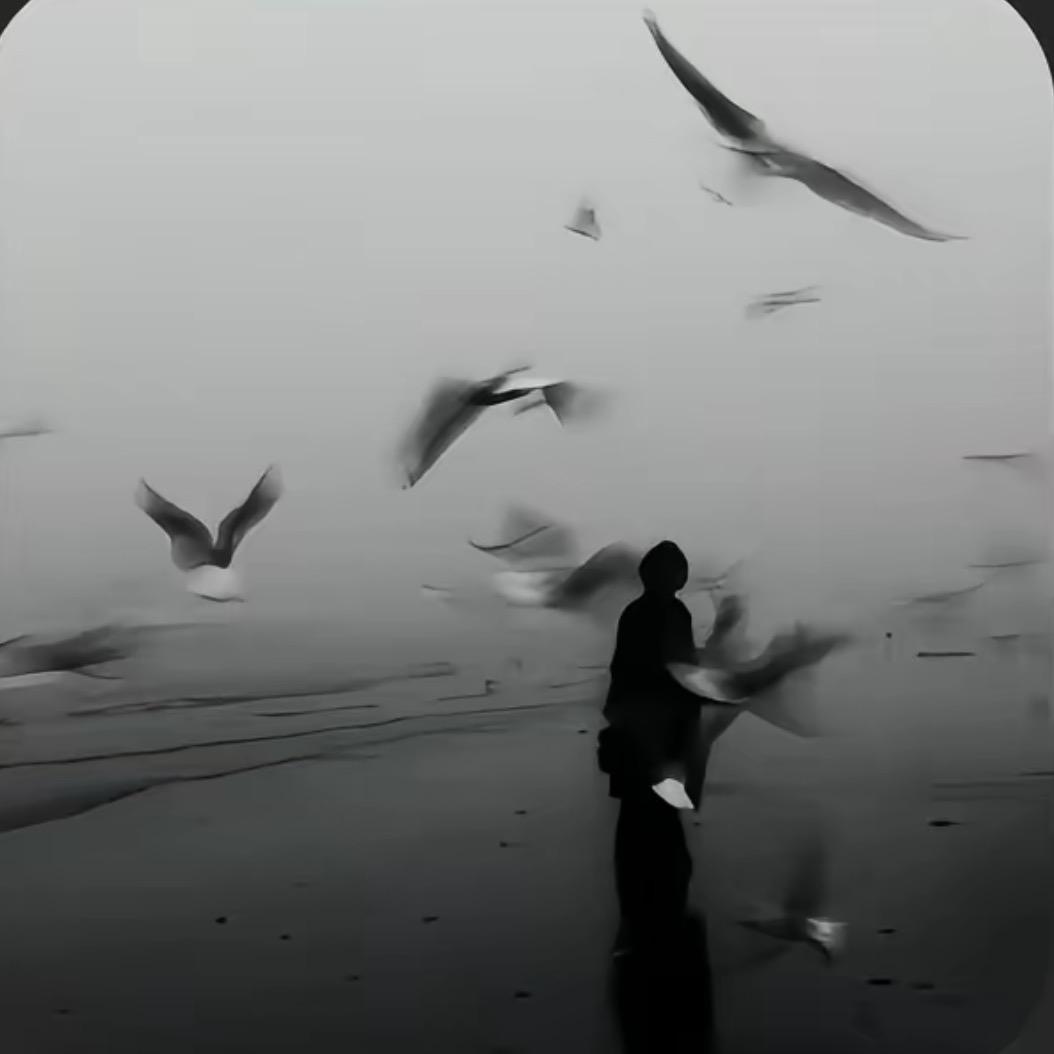 行万里路
