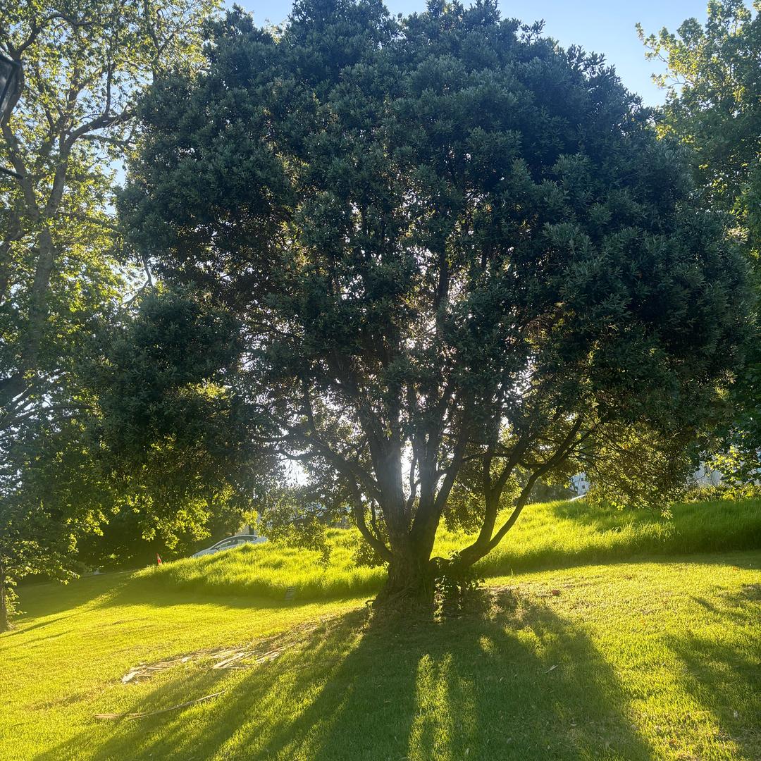 机器人客服二号