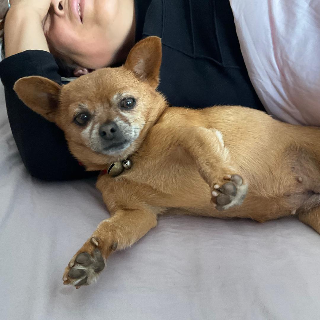 最爱小豆豆的小姐姐