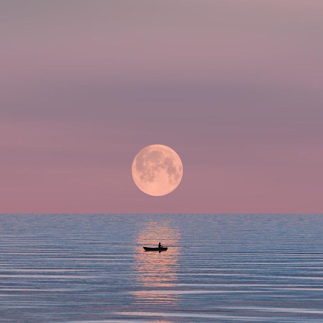 夜夜叶