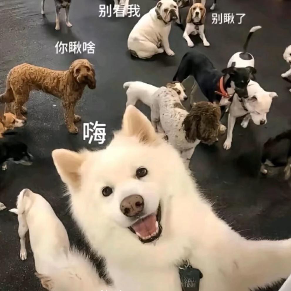 打了个喷嚏！