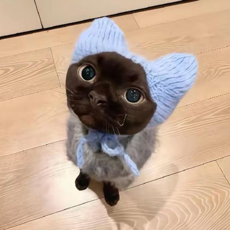 西梅🤍