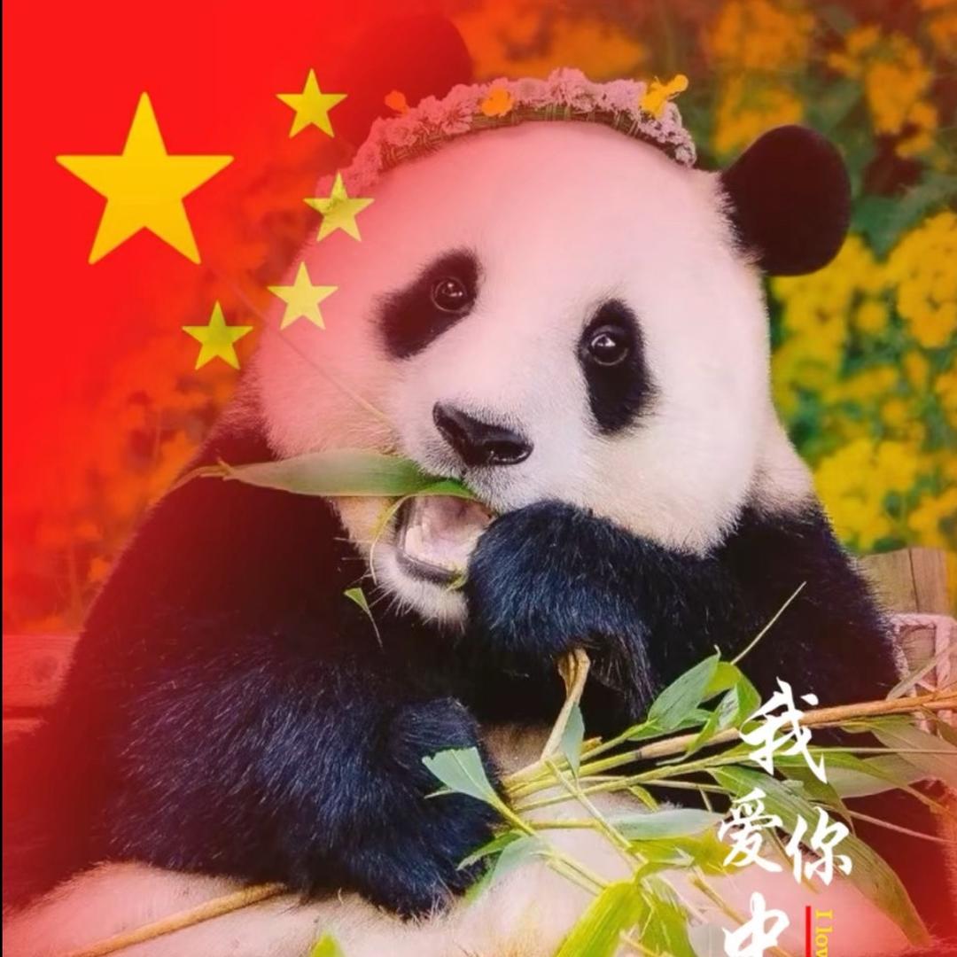 熊猫💐🌾喵喵喵