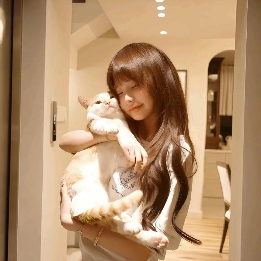七港猫.🐾