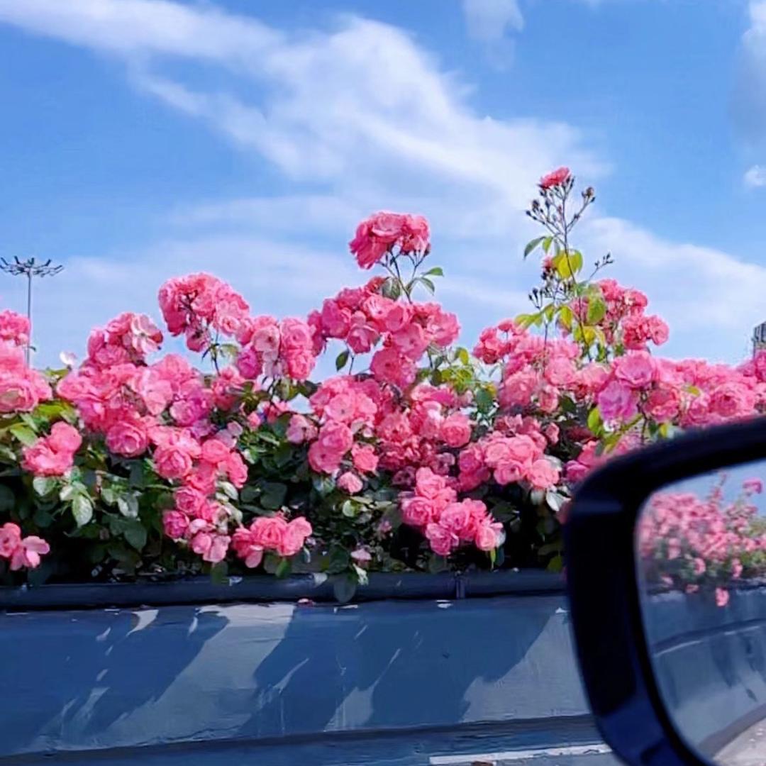 夏天要吃冰激凌