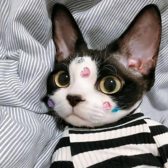 华强北数码城8号店