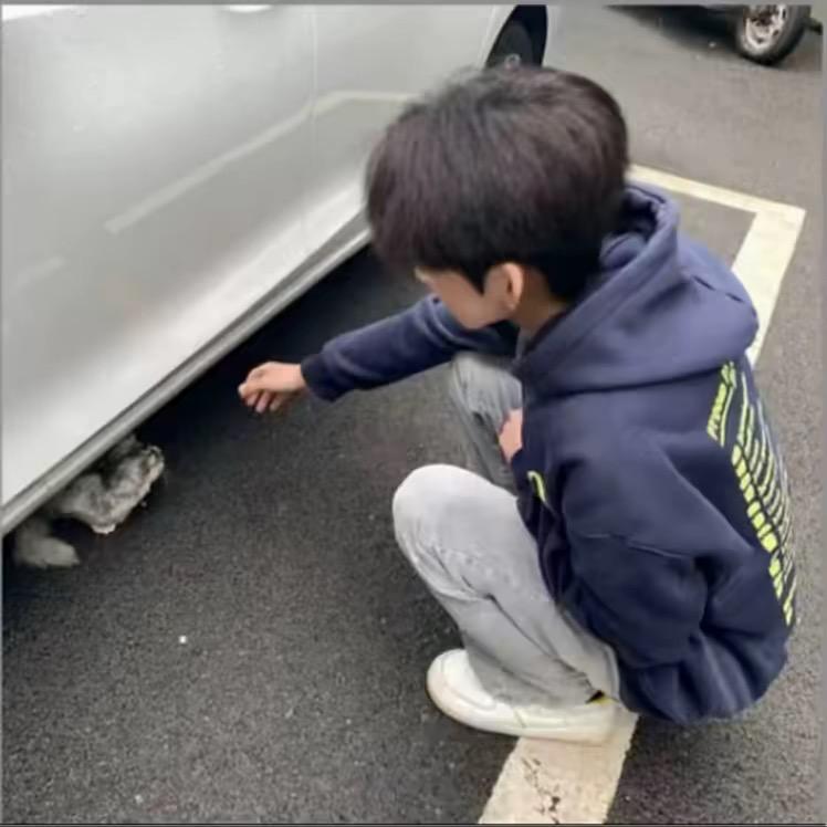 我没钱也没颜