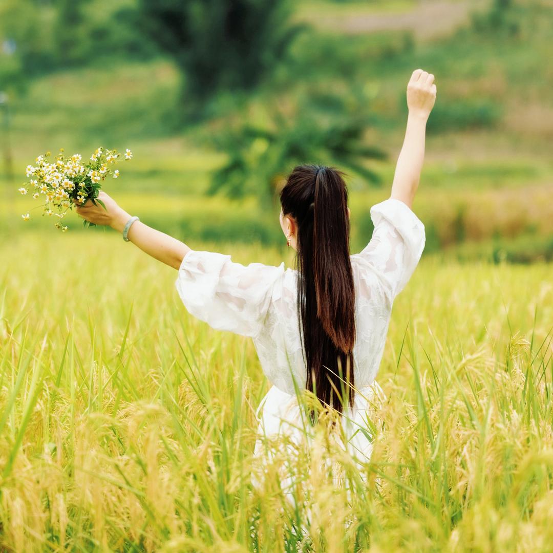 wei🌼你好