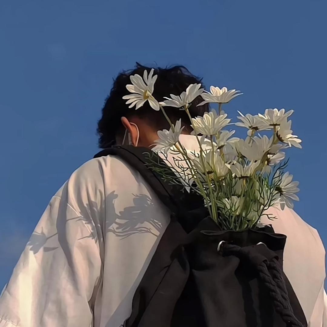肥土豆