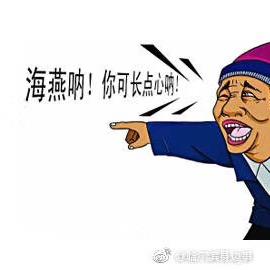 海上燕子