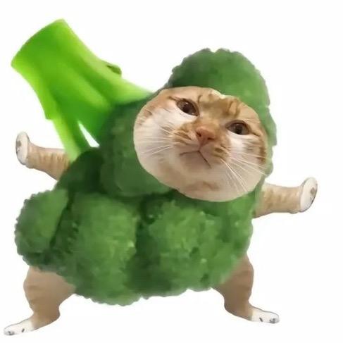 风起与叶落