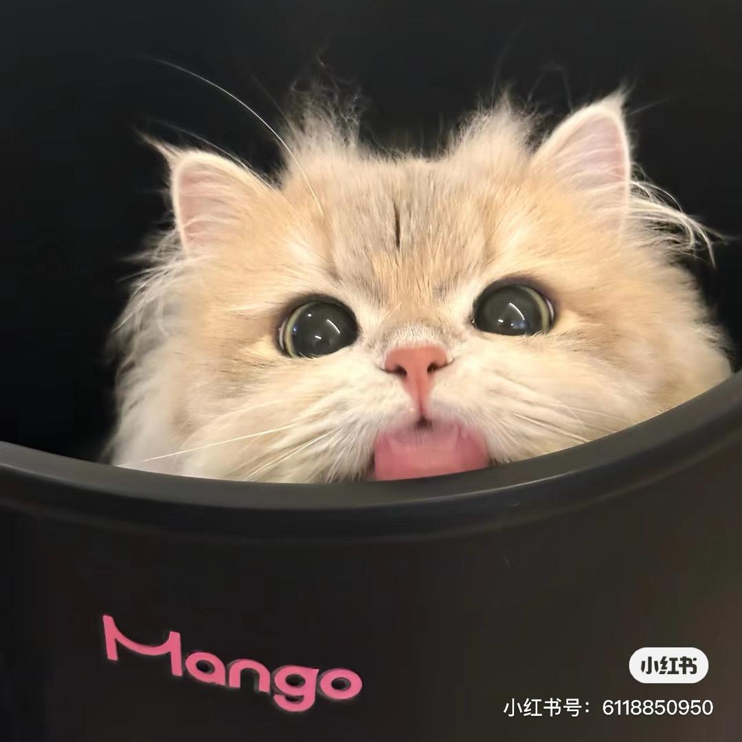 小U