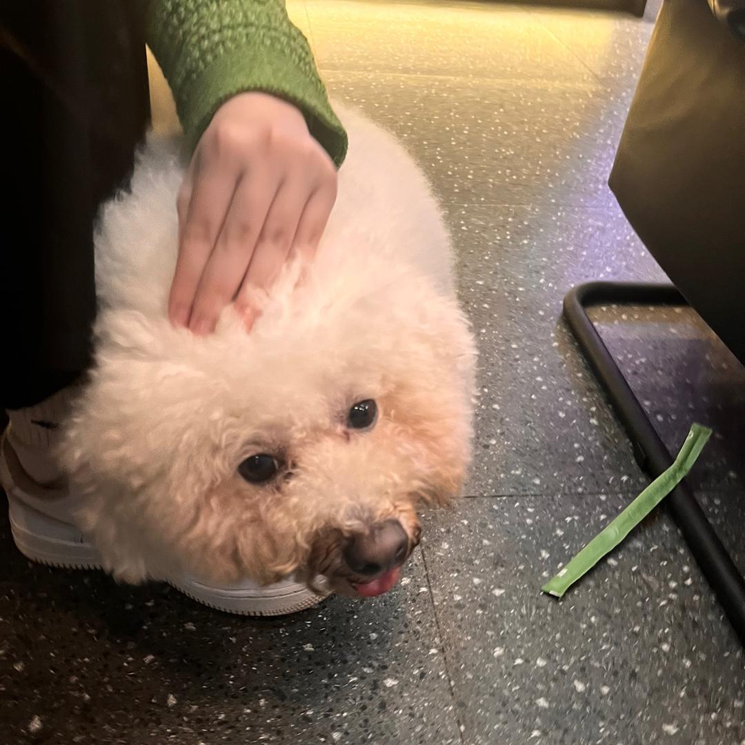 会发财的小仙女