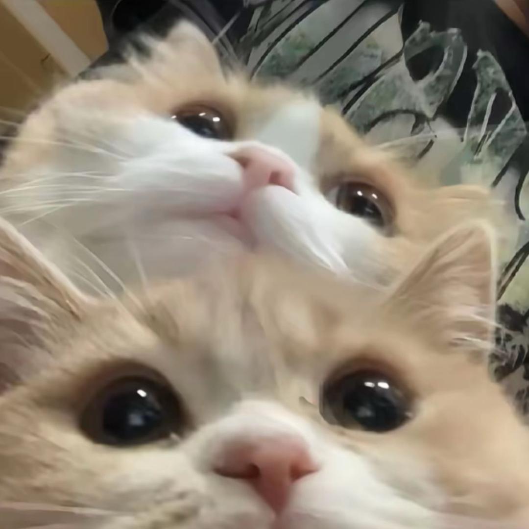 （好）