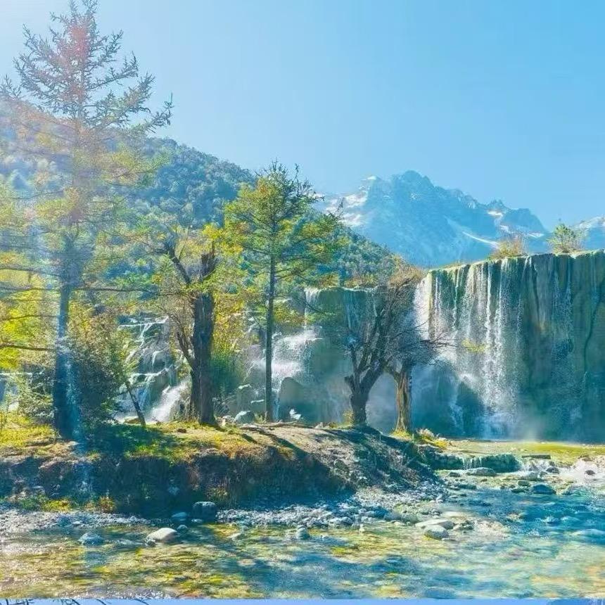 马铃薯炒土豆