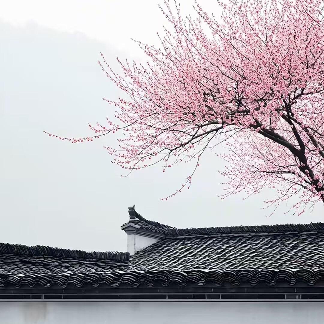 良果悠选生鲜水果店