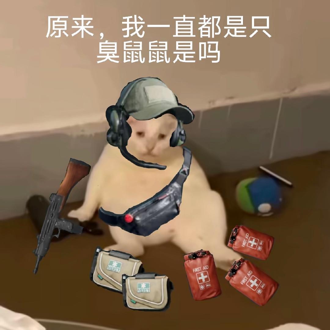 贪吃的小鼠鼠 （三角洲行动）