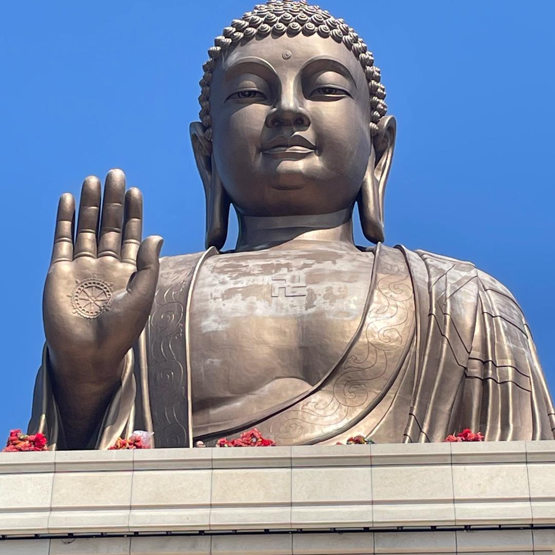 净莲🪷5