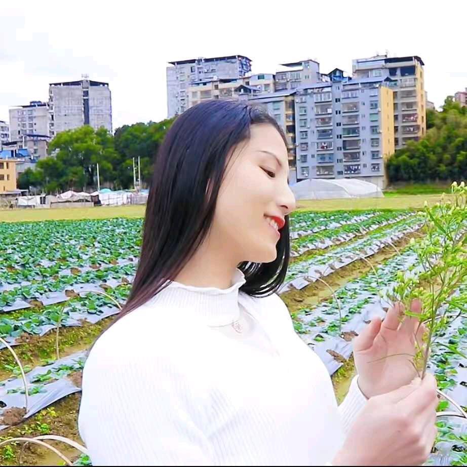 蚊子&