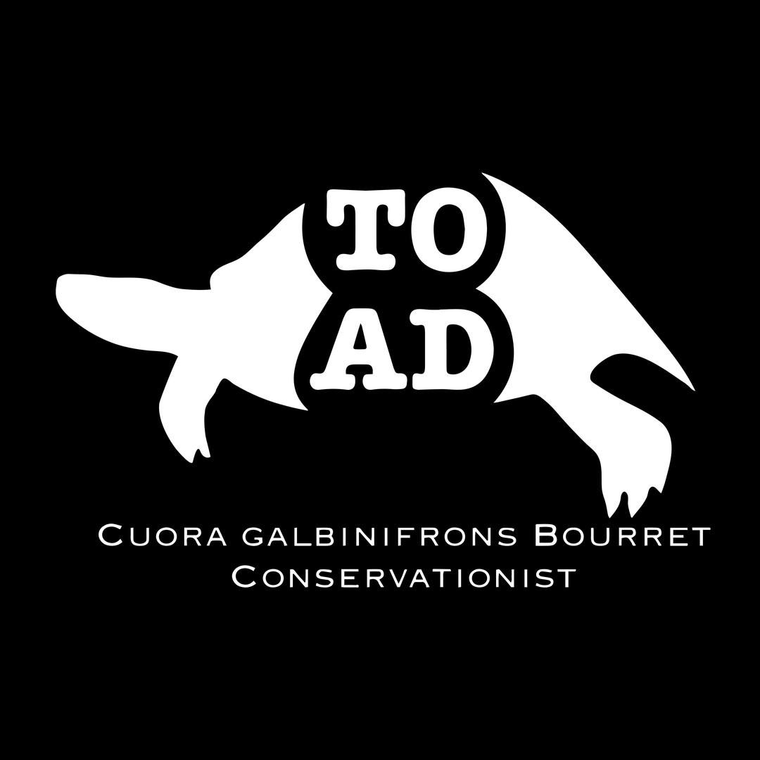 Toad breeder产品号