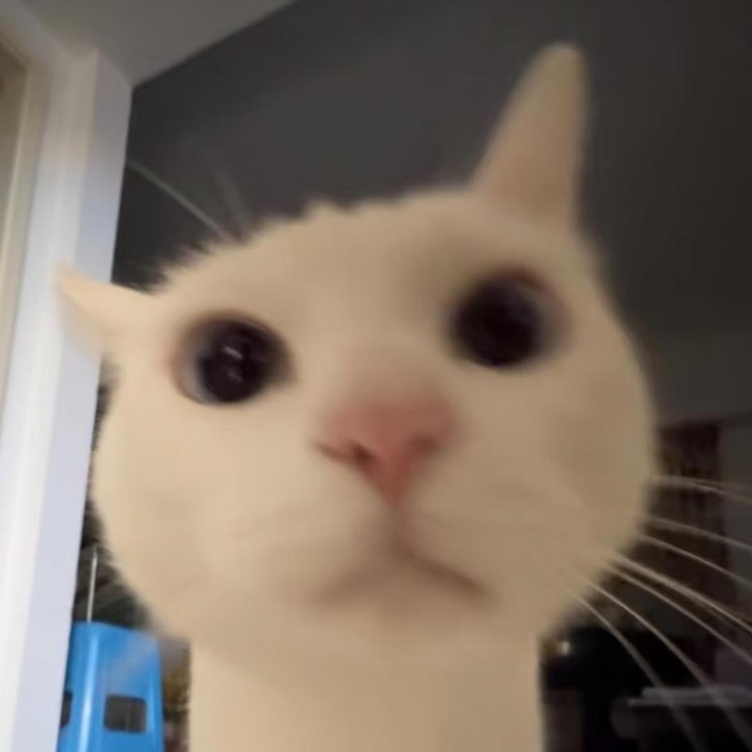 馨馨🕊️