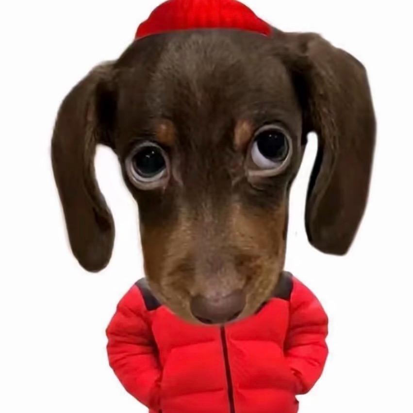 东北在逃烤冷面🍜