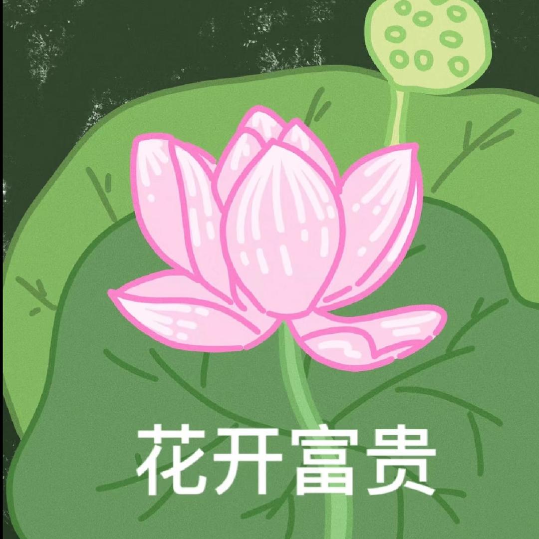 哇SAI 璐‼️