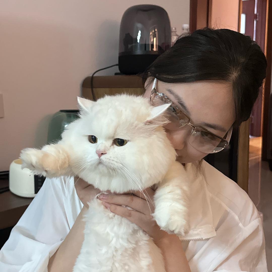 流浪小狗
