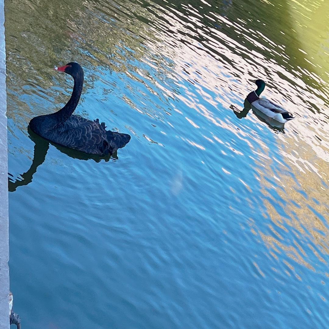 牵着蜗牛去散步！～～女汉子！