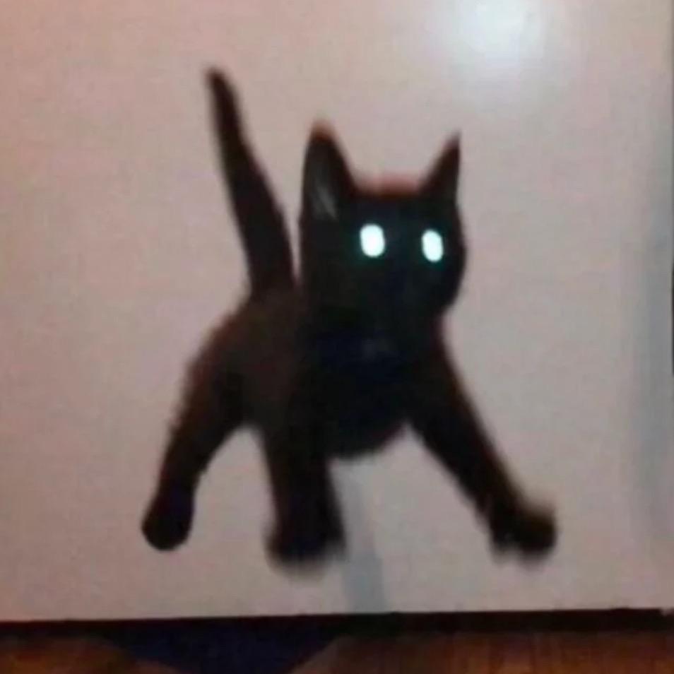 金金