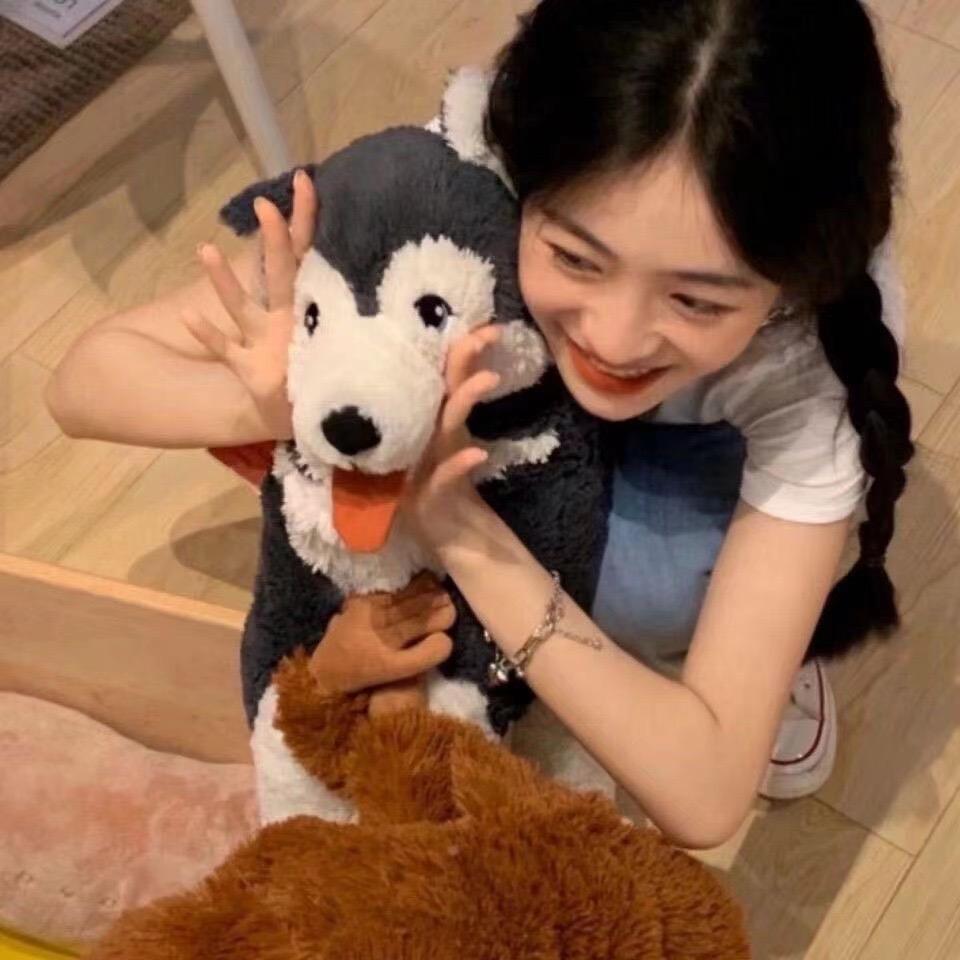 sysisi