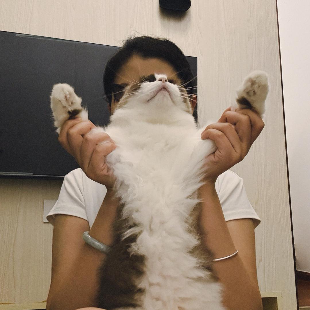 發财筒子