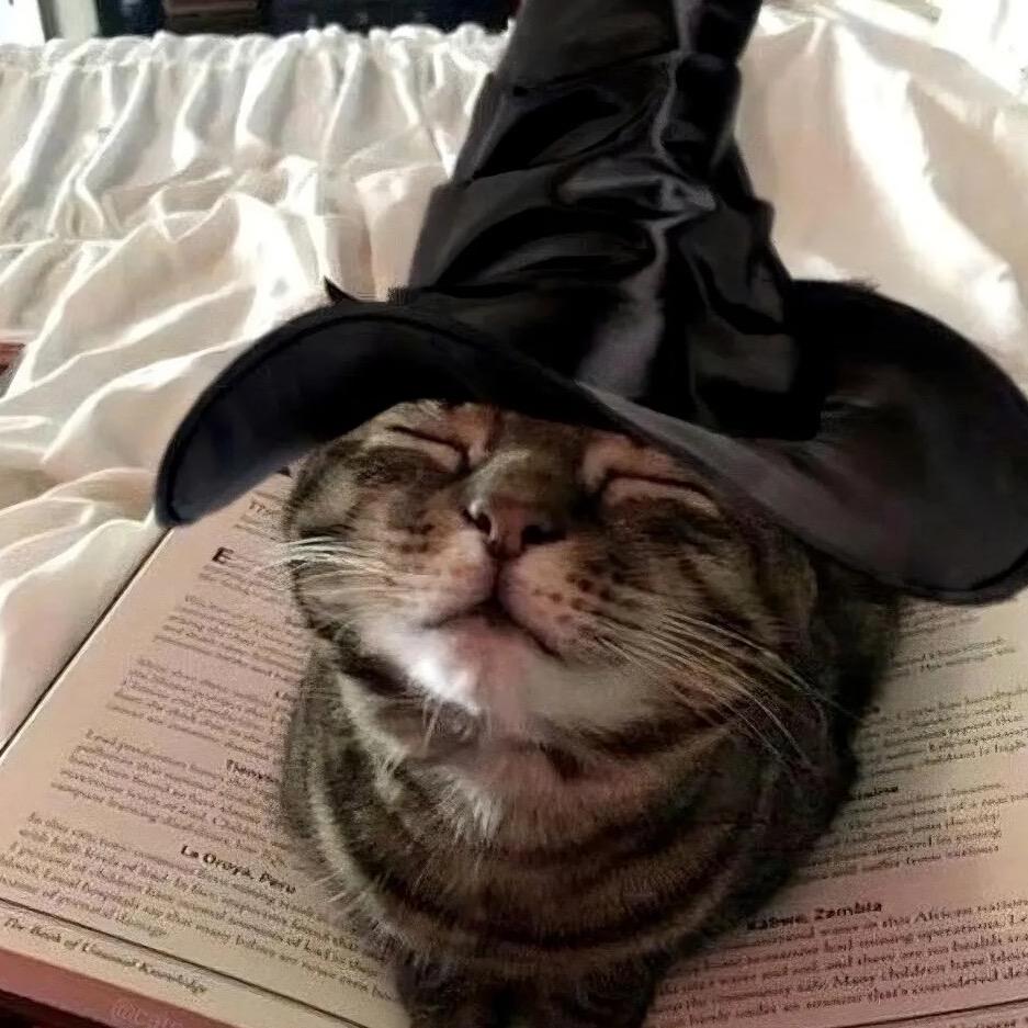 酱香不吃酱香饼🫓