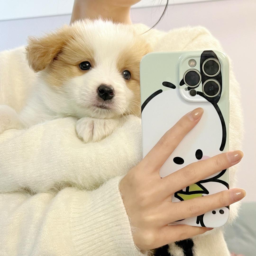 妮总家的饭搭子🐾