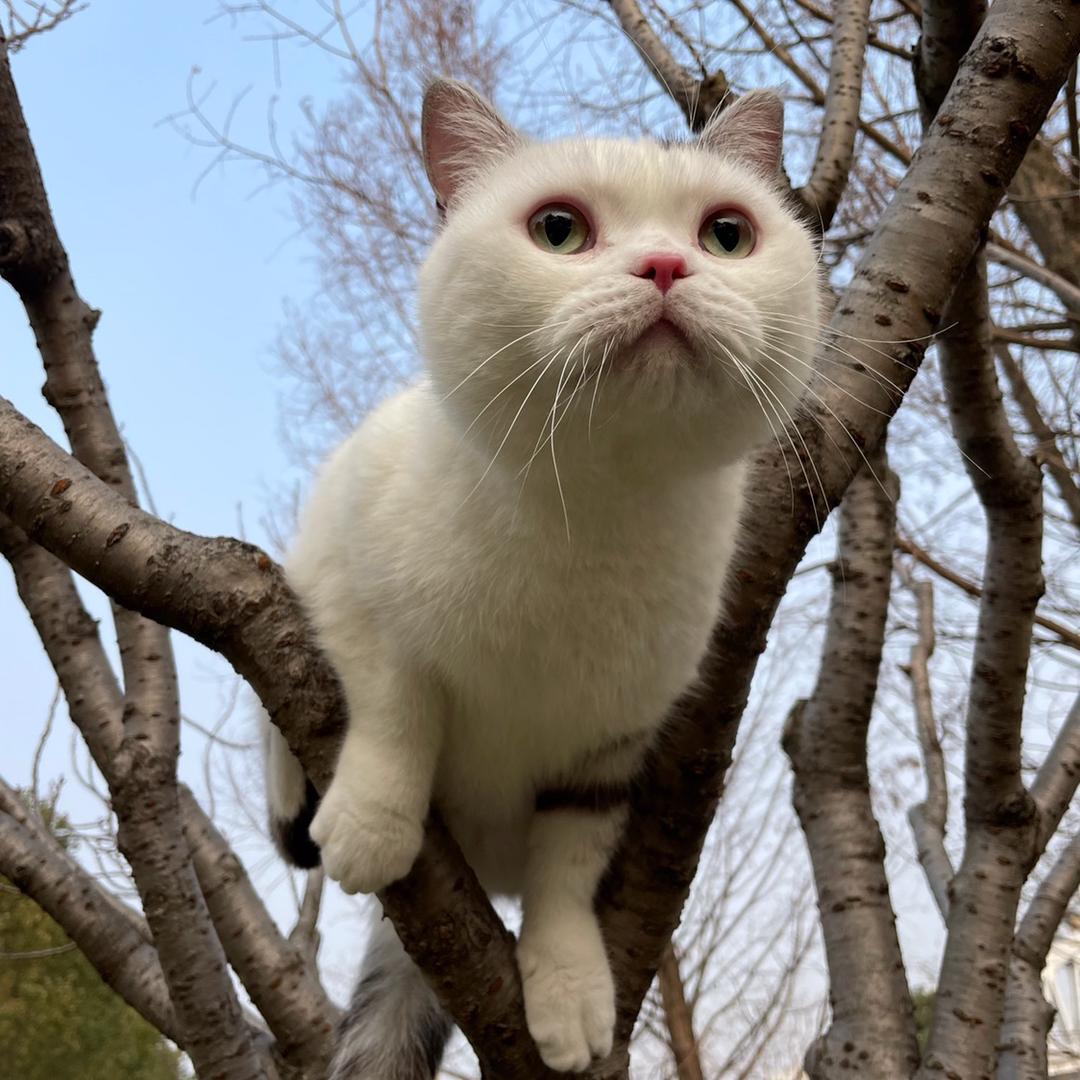 小贱贱