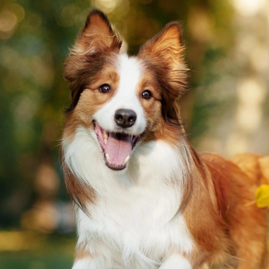 五角的生活笔记