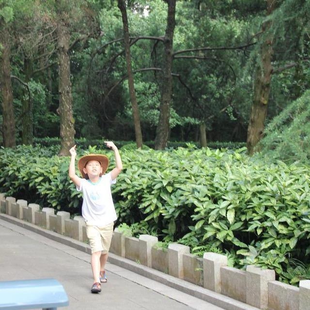 曾xf