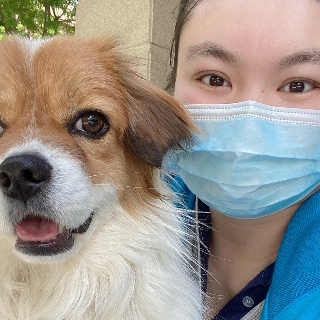 淼淼爱种树