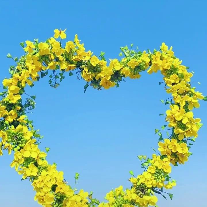 糖糖不想熬夜！