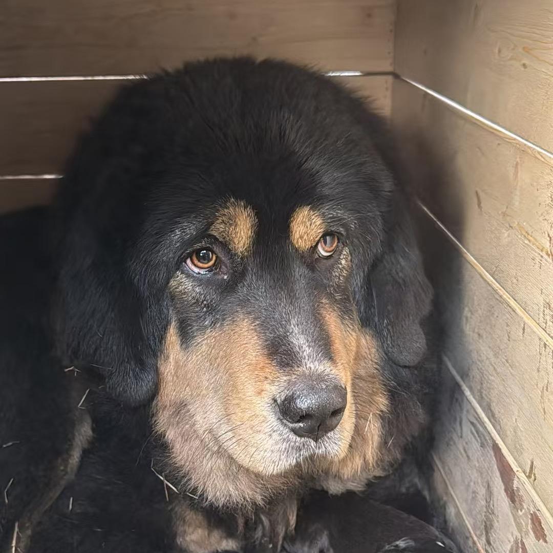 门头沟最锐利的矛