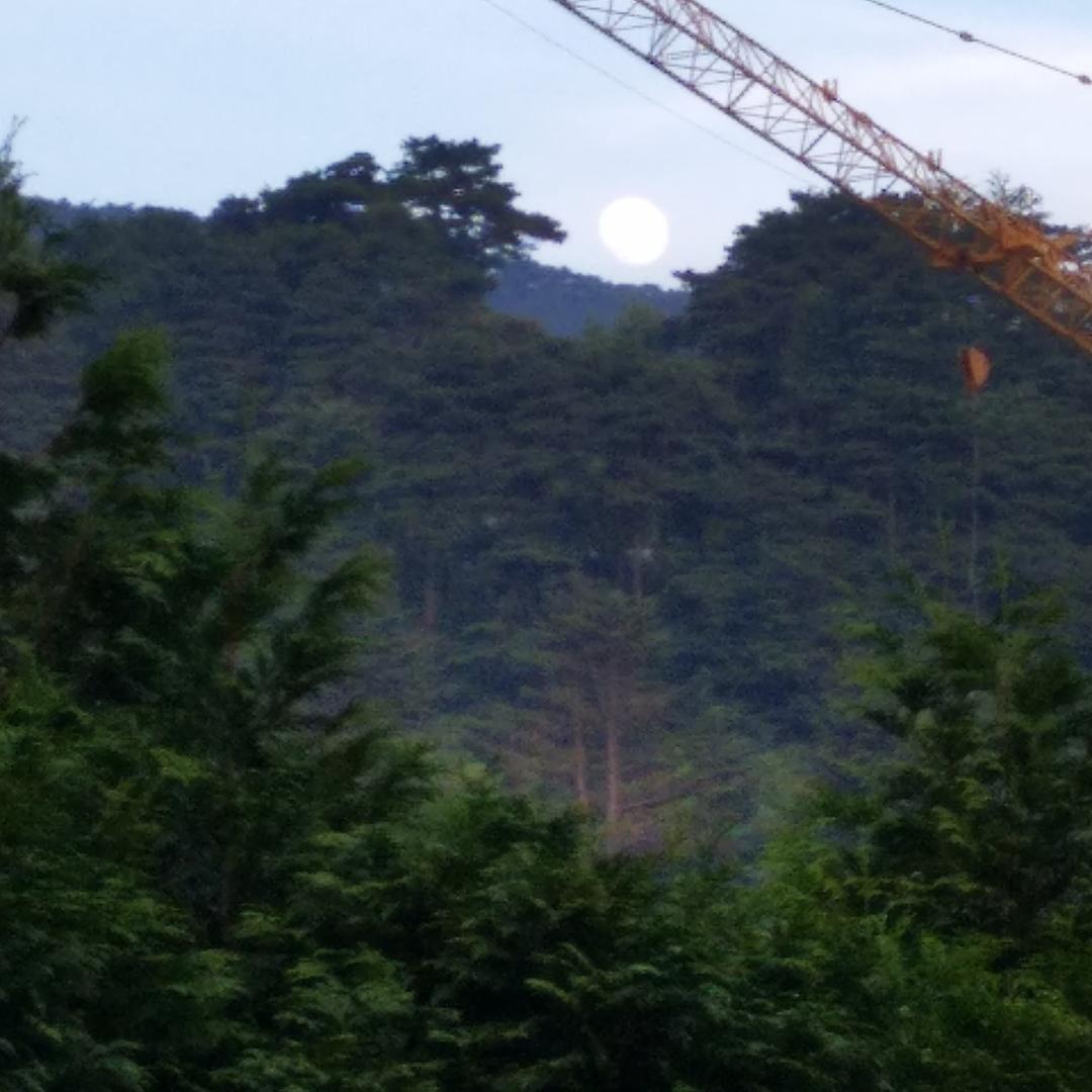 堂
