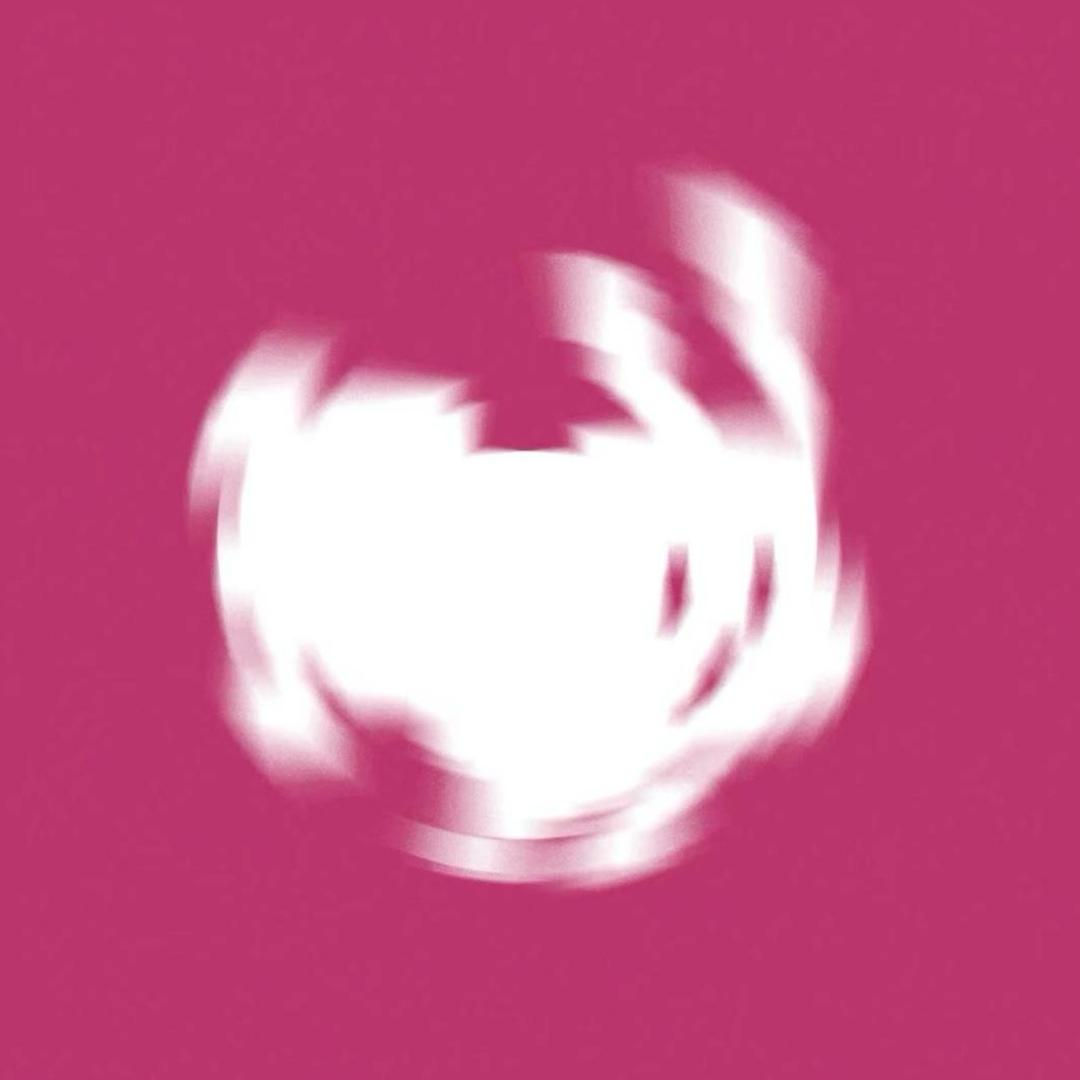 一只白眠羊