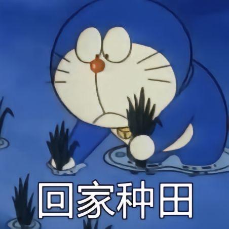 佐藤光希